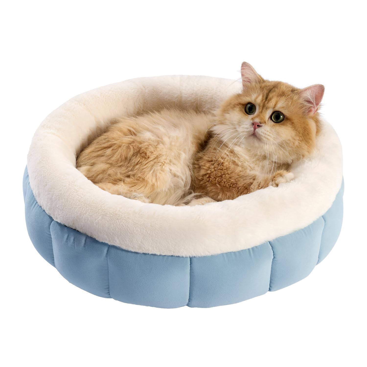 Amazon Hot-Selling Pet Supplies Creative Trendy Dog House Pet Nest Winter Warm Dog House Factory Direct Sale
